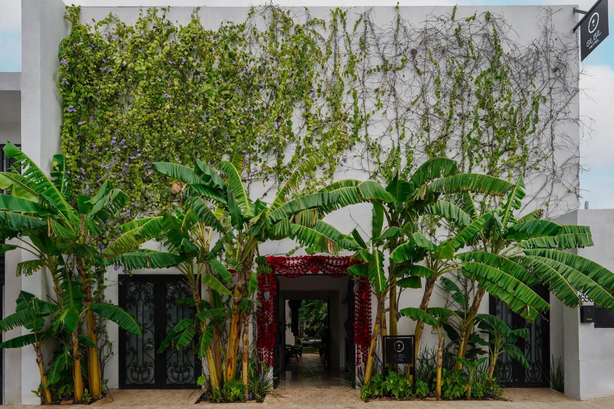 Olbil Hotel Boutique Valladolid  Ngoại thất bức ảnh